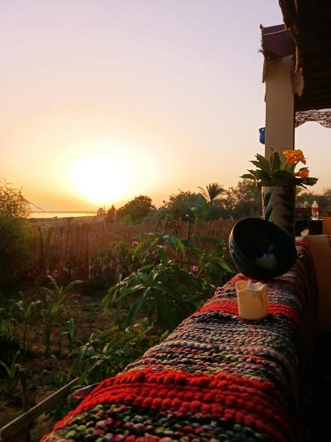 הוילה Tunis Kayan House מראה חיצוני תמונה