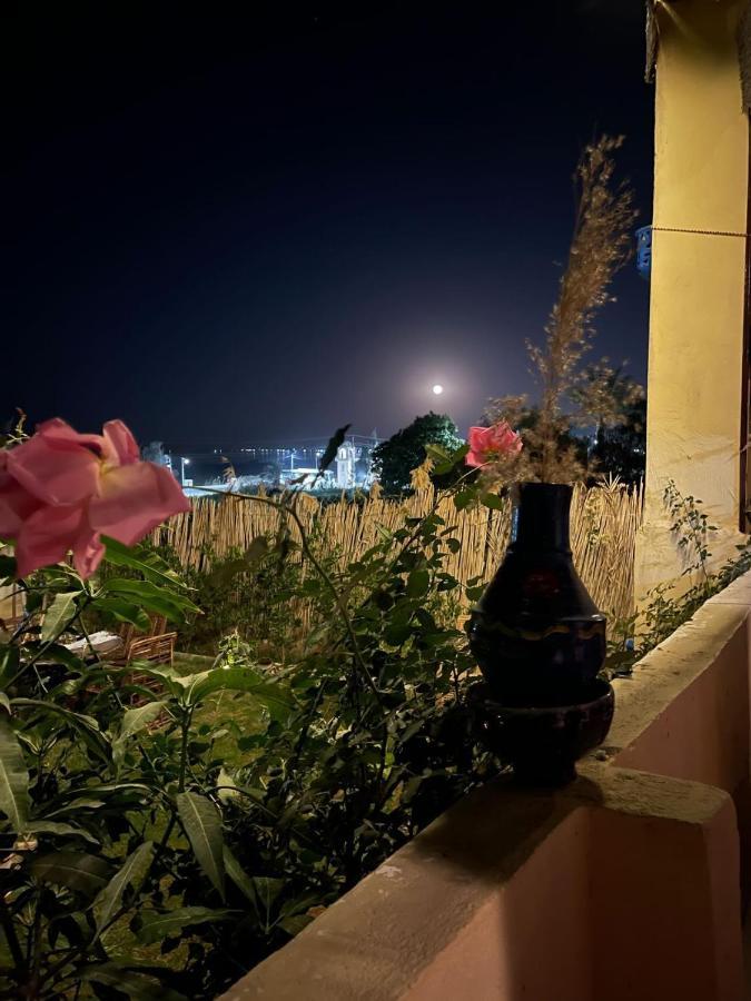 הוילה Tunis Kayan House מראה חיצוני תמונה