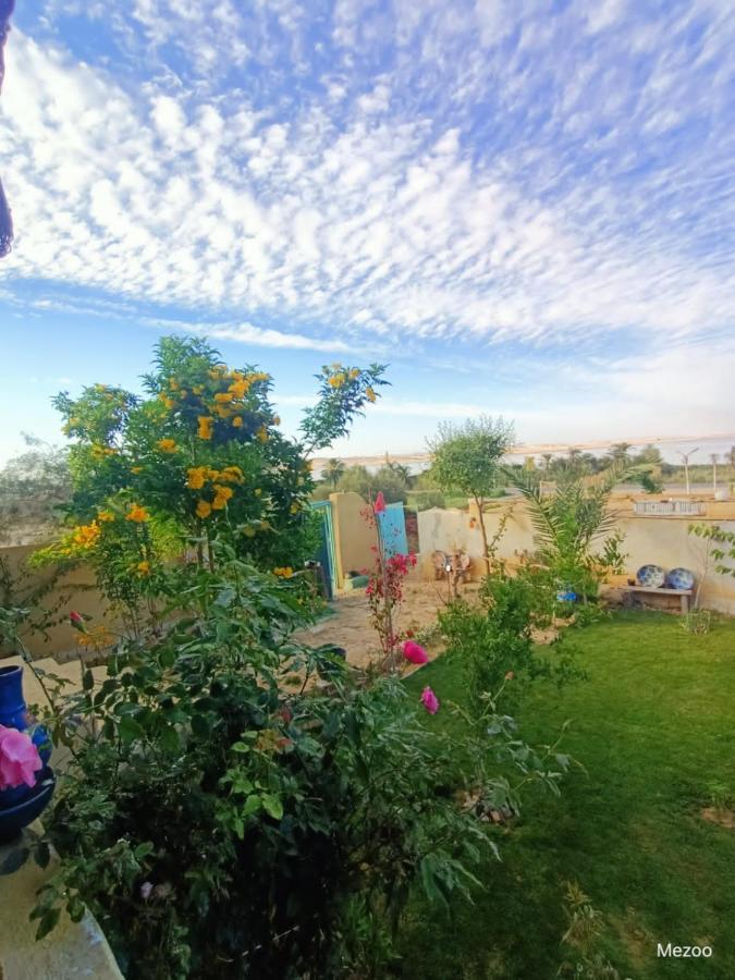 הוילה Tunis Kayan House מראה חיצוני תמונה